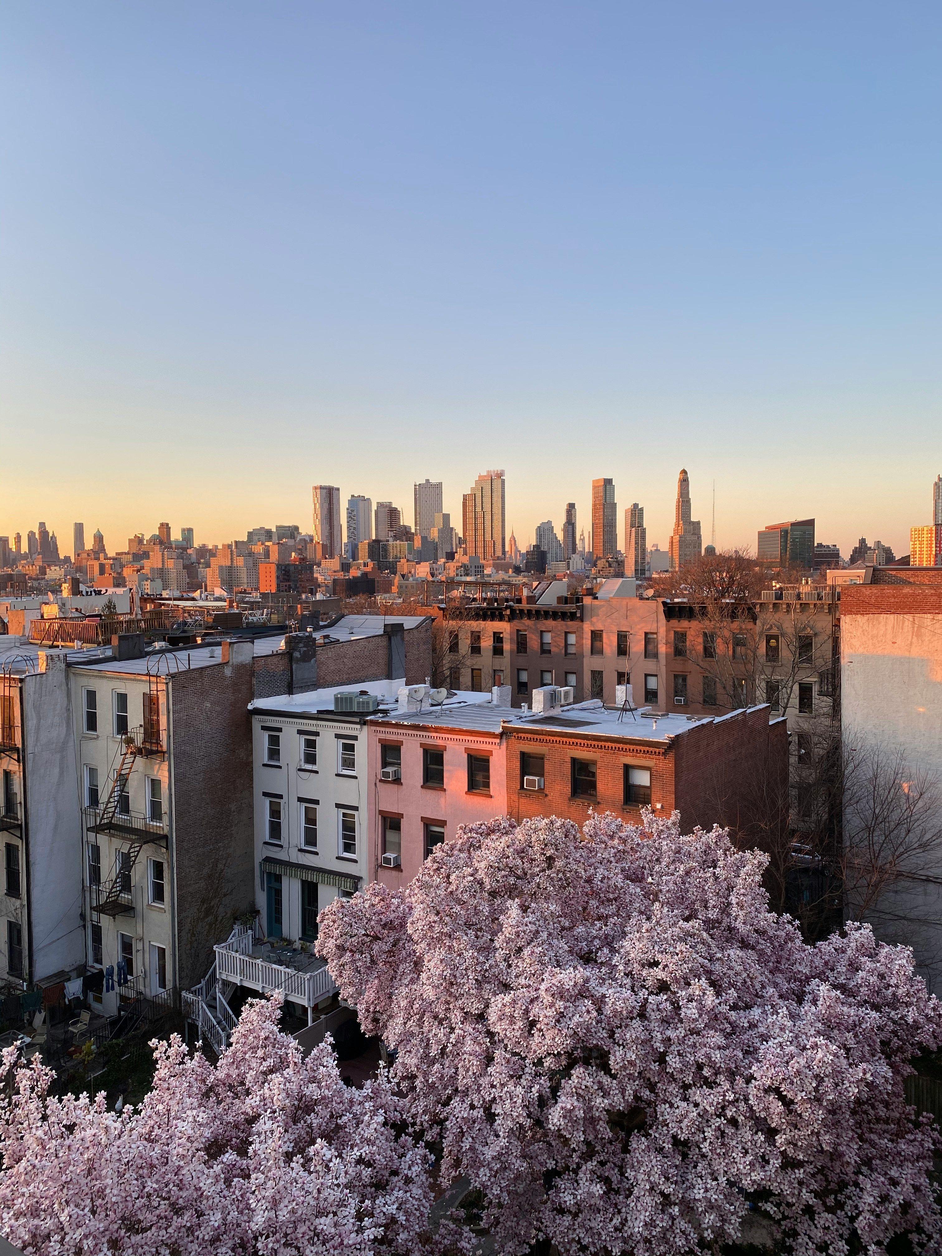 Ariel view of row homes in brooklyn at sunset. Downtown Brooklyn skyline in the background.
